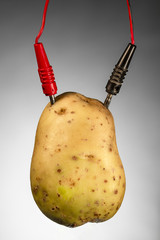 Potato as source of energy, on gray background