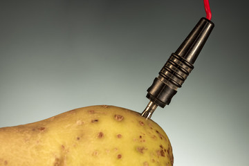 Cathode connected to a potato. Energy crops