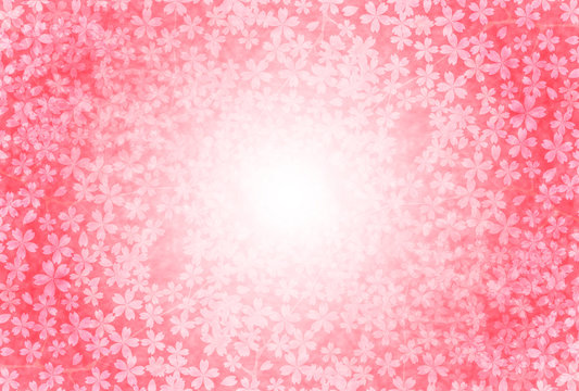 桜　春　花　背景