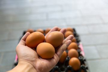 Eggs from chicken farm in the package
