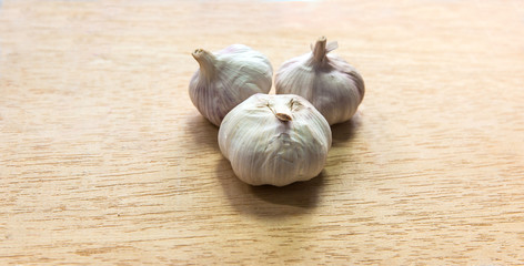 garlic