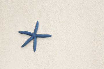 Fototapeta na wymiar Tropical Beach Starfish