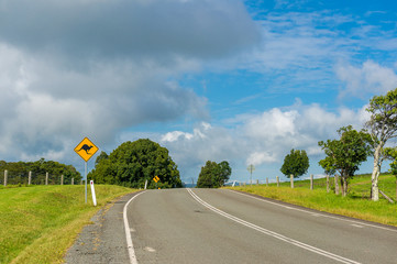 Australian outback road with kangaroo road sign