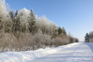 Снежная дорога зимним солнечным днем