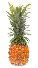 Fresh pineapple on a white background