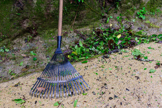Rake for chores in the garden and cleaning leaves.