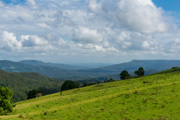 Obraz premium Green hill on a sunny day