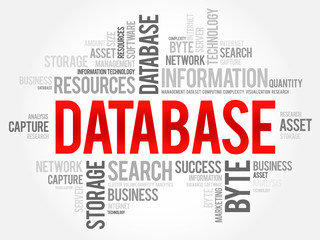 Fototapeta premium Database word cloud, business concept