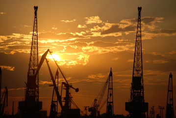 Obraz premium Lots of construction cranes at sunset sky background