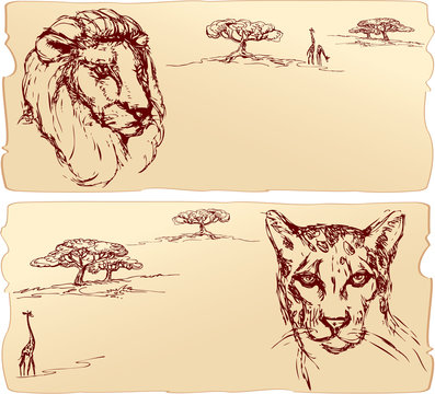 Lion and cheetah heads. Hand drawn ink portrait horizontal sketc