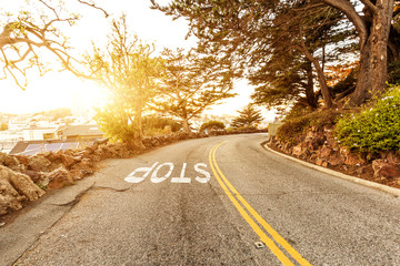 old concrete road through forest in sunny day