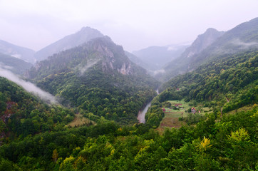 Obraz premium Fog in canyon of river Tara, Montenegro