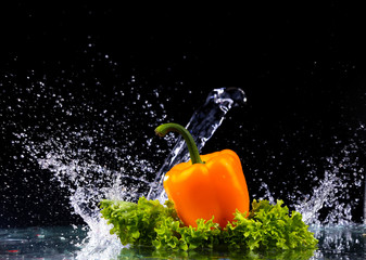 Fototapeta na wymiar fresh water splash on red sweet pepper