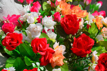 Beautiful flower in thailand