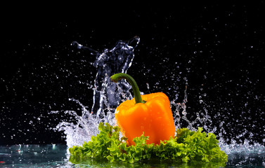 Fototapeta na wymiar fresh water splash on red sweet pepper