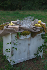 Wedding decor. Wedding on a plate green background and a mountai