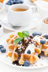waffles with blueberries, cream and chocolate sauce on a plate
