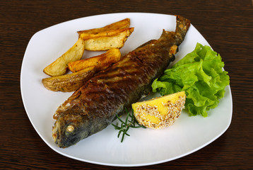 Grilled trout