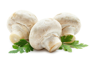 White mushrooms on white background