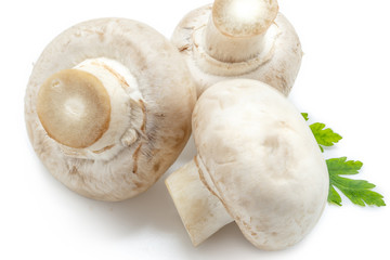 White mushrooms on white background
