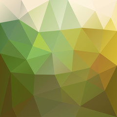 Fototapeta premium Polygonal mosaic abstract geometry background landscape.