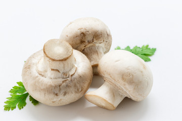 White mushrooms on white background