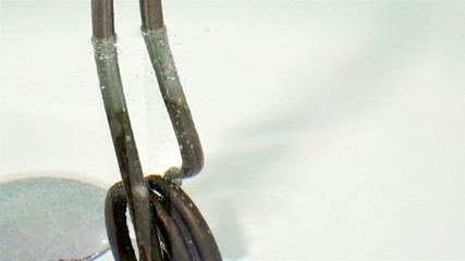 Boiler with a coil heats the water to a state of boiling at 100 degrees