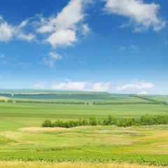 green field and blue sky with light clouds