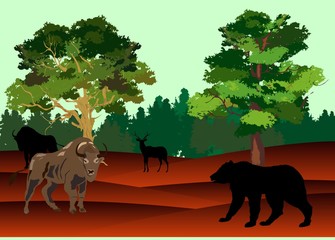 Bizon and bear in american prairie, vector illustration © Massaget