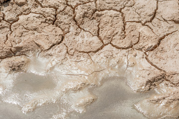 Cracked Earth with some Moisture