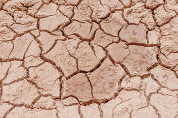 Cracked Earth with some Moisture