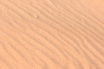 Fototapeta na wymiar Wind Print on Sand