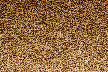 Raw buckwheat groats texture
