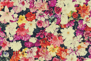 Fototapeta na wymiar Vibrant flower background
