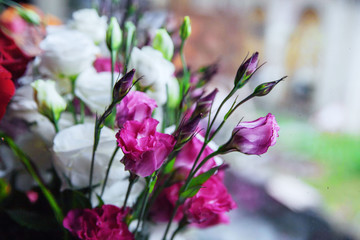 flowers. rose . floral