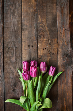 Pink, tulips bunch on dark barn wood planks background. Space for text, copy, lettering. Vertical postcard template.