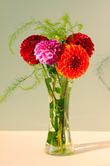 Obraz premium Dahlias in the Vase on the light Background