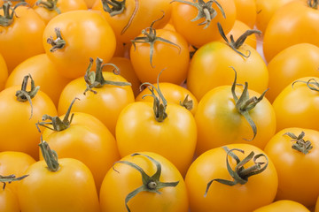 Yellow tomatoes