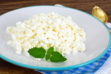 Home Dietary Fat Cottage Cheese Beaded Curd