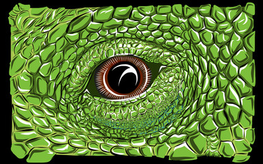 Ojo de iguana.