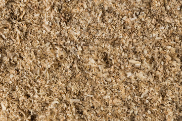 Wood shavings background