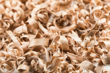 Wood shavings