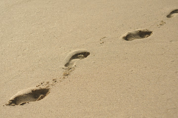 PIsadas en arena de playa