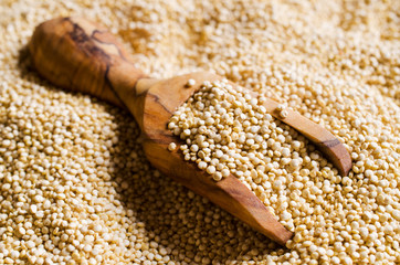 Quinoa dry seeds
