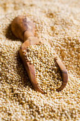Quinoa dry seeds