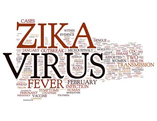 Zika Virus related words isolated on white background