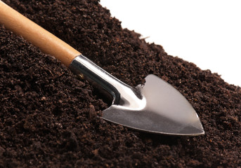 New garden shovel