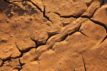 brown ground texture with cracks