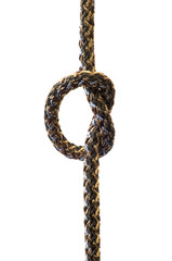 ropes on white background