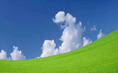 Green grass and sky